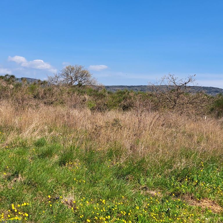 Terrain CAUX (34720) Serenidade