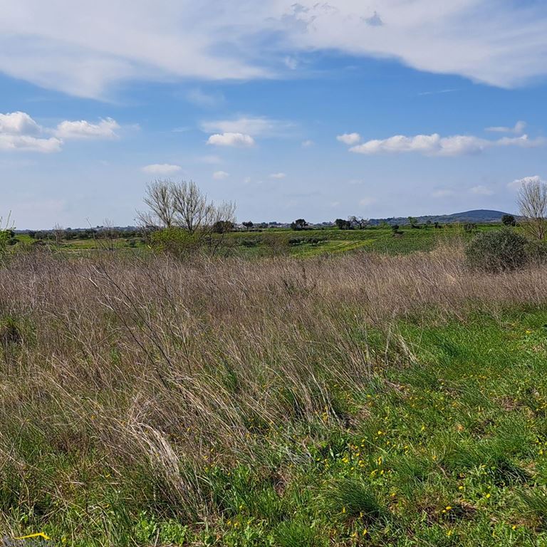 Terrain CAUX (34720) Serenidade