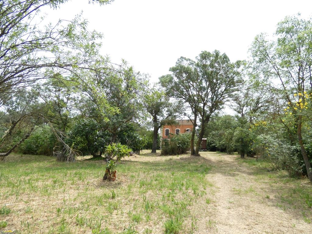 Propriété NIZAS (34320) Serenidade